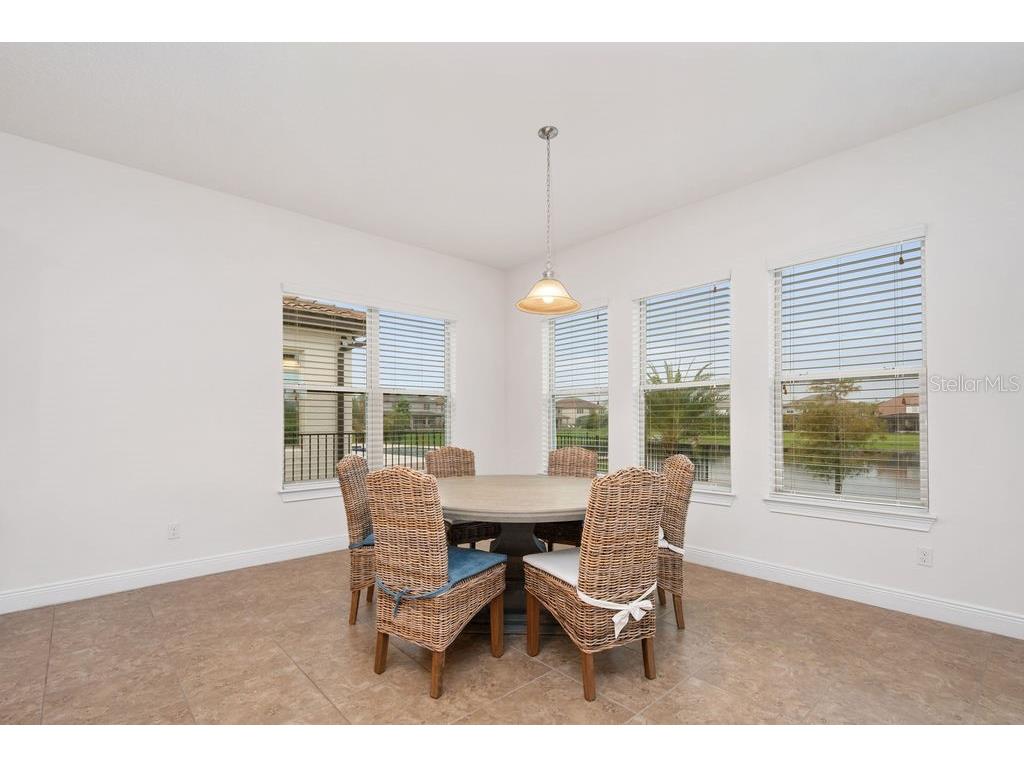 17538 Black Rail Street Windermere FL 34786 O6349325 image10