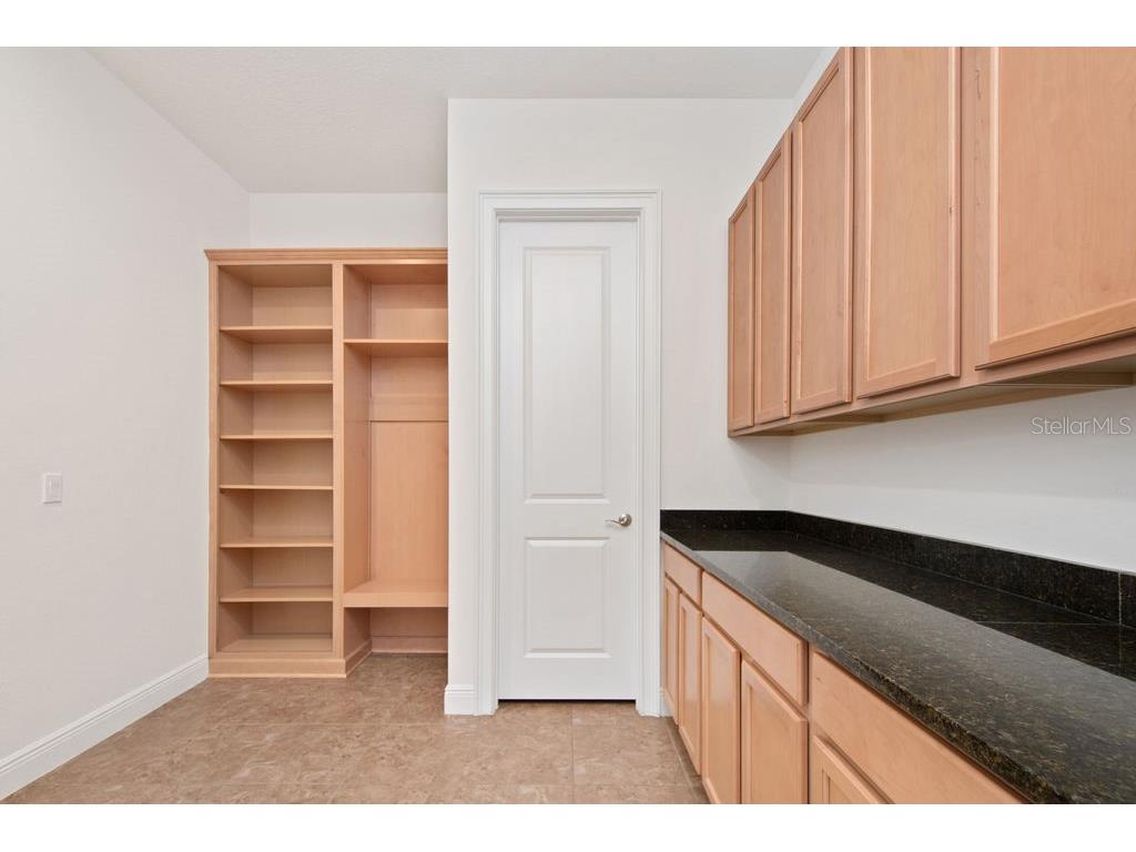 17538 Black Rail Street Windermere FL 34786 O6349325 image11