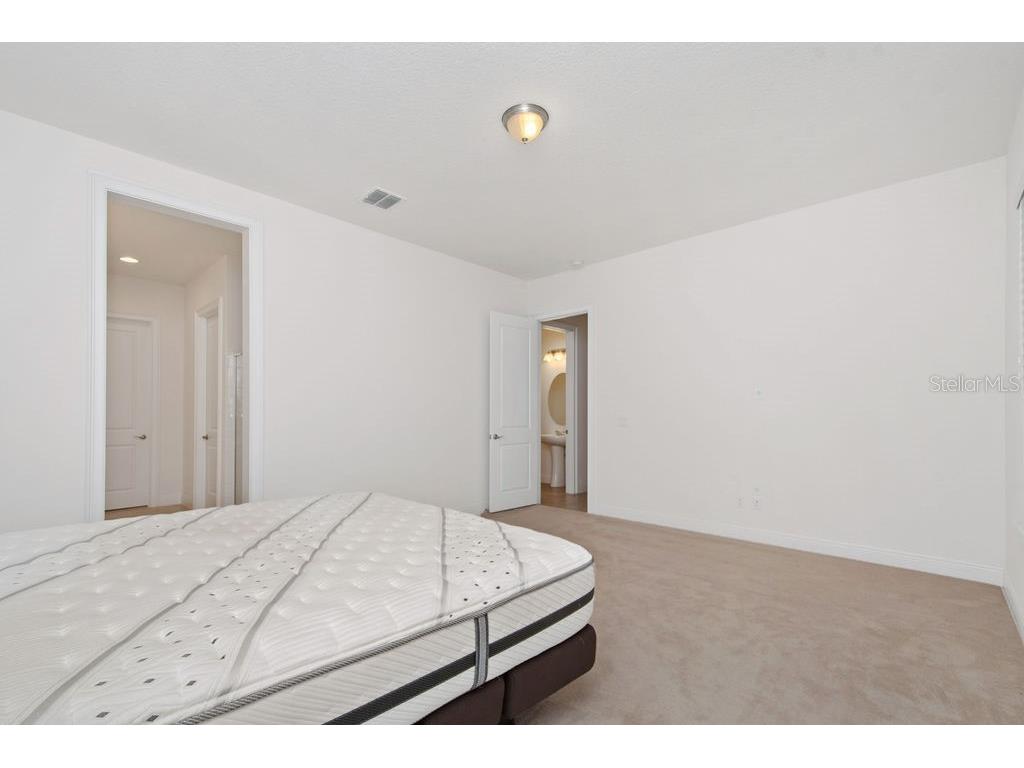 17538 Black Rail Street Windermere FL 34786 O6349325 image14