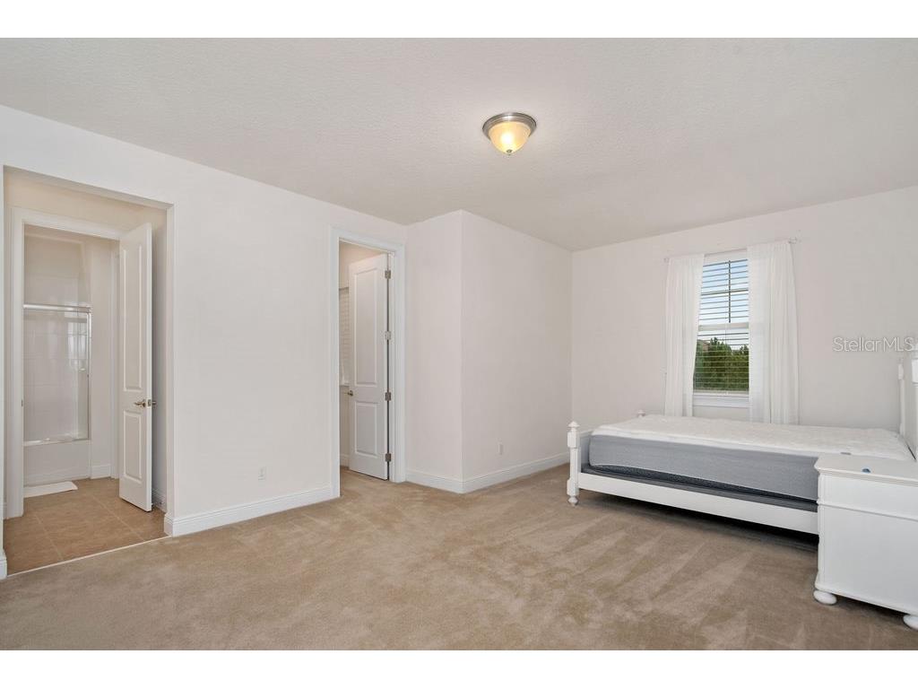 17538 Black Rail Street Windermere FL 34786 O6349325 image18