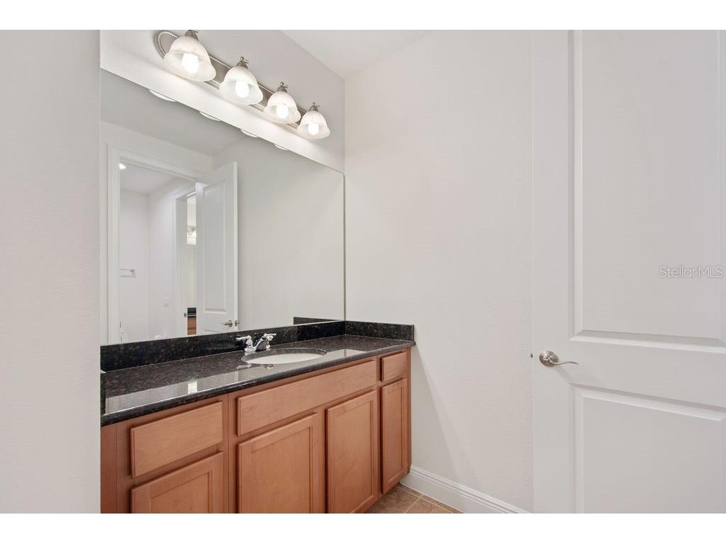 17538 Black Rail Street Windermere FL 34786 O6349325 image21