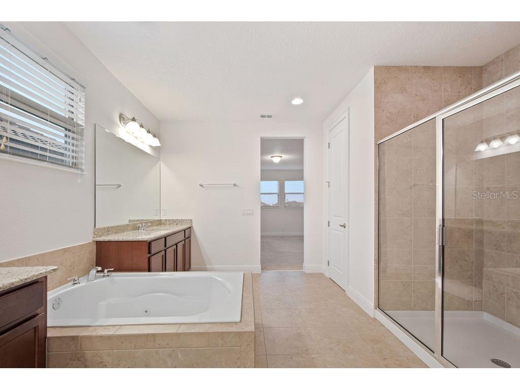 17538 Black Rail Street Windermere FL 34786 O6349325 image29