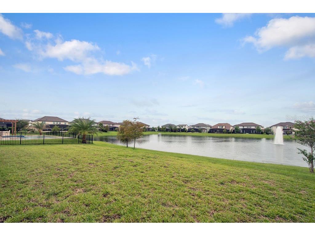 17538 Black Rail Street Windermere FL 34786 O6349325 image31