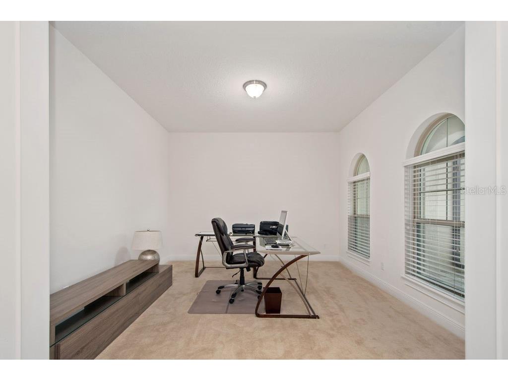 17538 Black Rail Street Windermere FL 34786 O6349325 image4