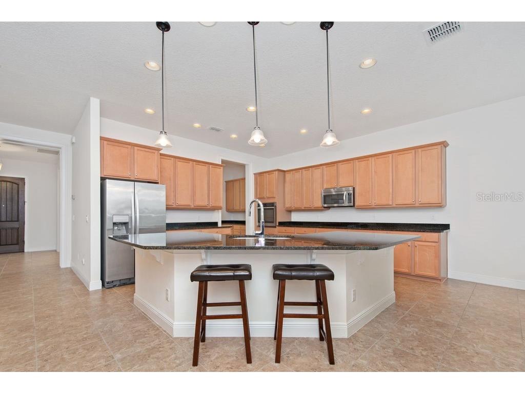 17538 Black Rail Street Windermere FL 34786 O6349325 image8