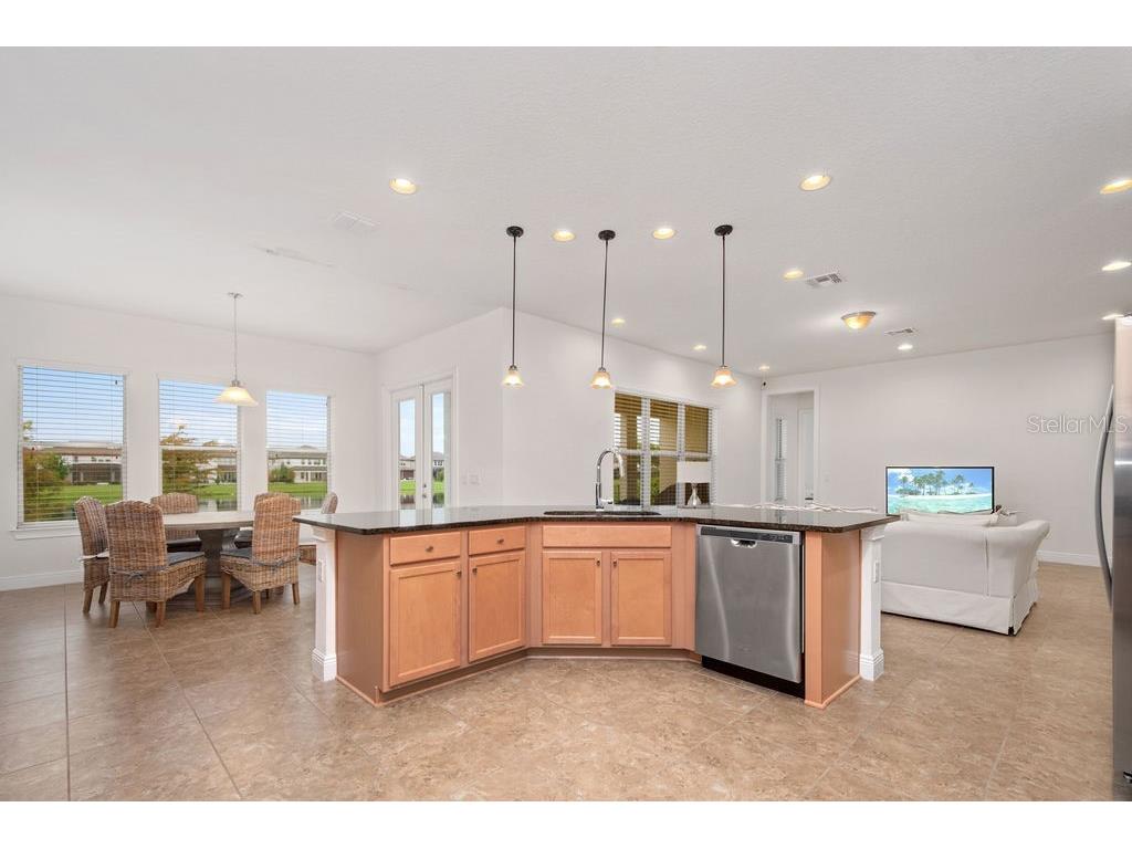 17538 Black Rail Street Windermere FL 34786 O6349325 image9