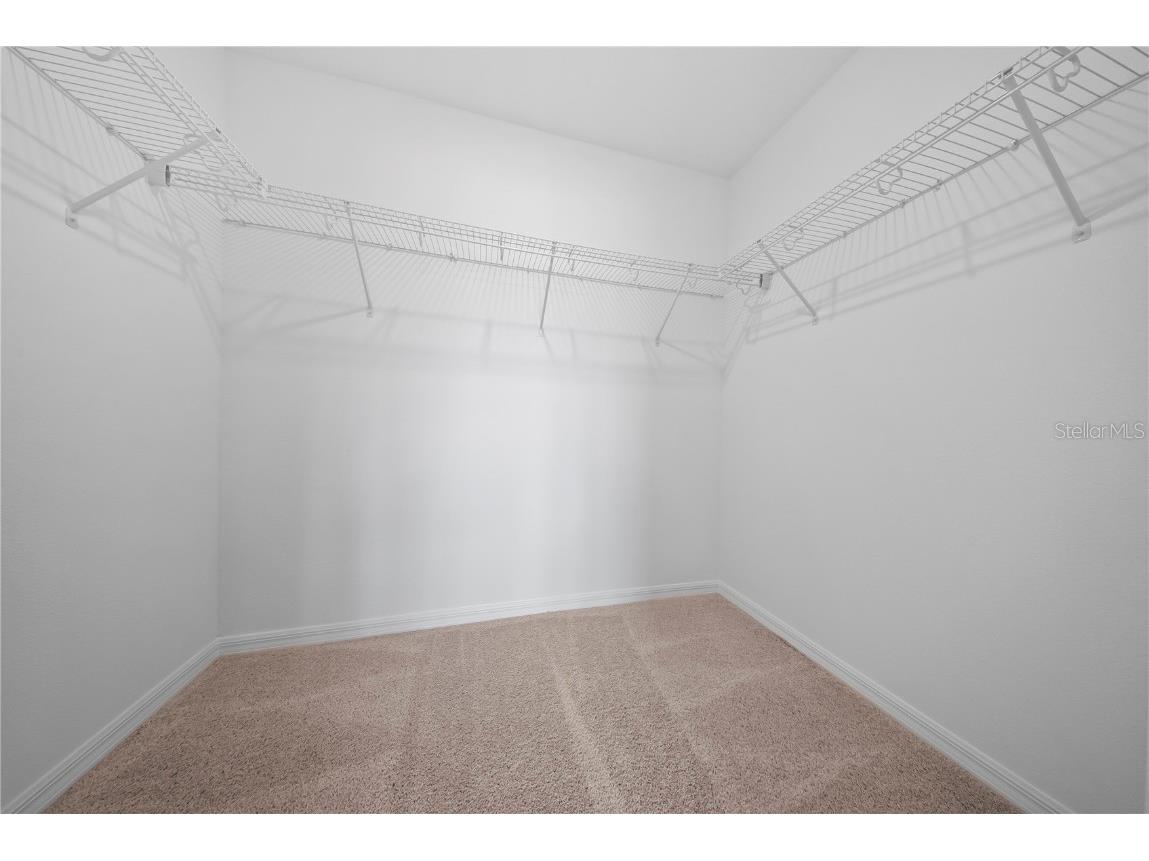 17538 Northlake Grove Dr Drive Winter Garden FL 34787 O6371924 image18