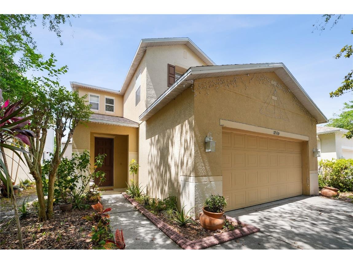 17539 Balmaha Drive Land O Lakes FL 34638 T3523160 image1