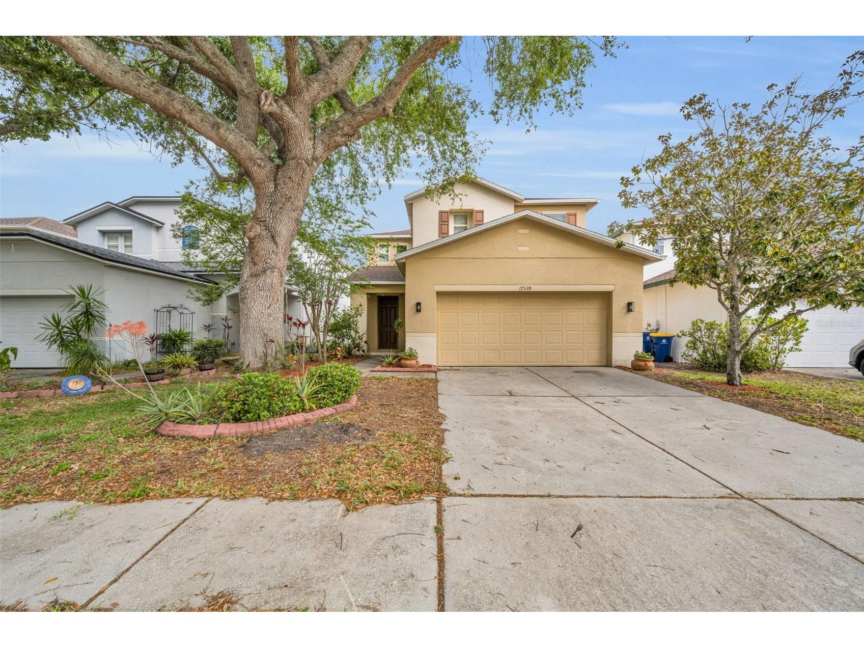 17539 Balmaha Drive Land O Lakes FL 34638 TB8496233 image1