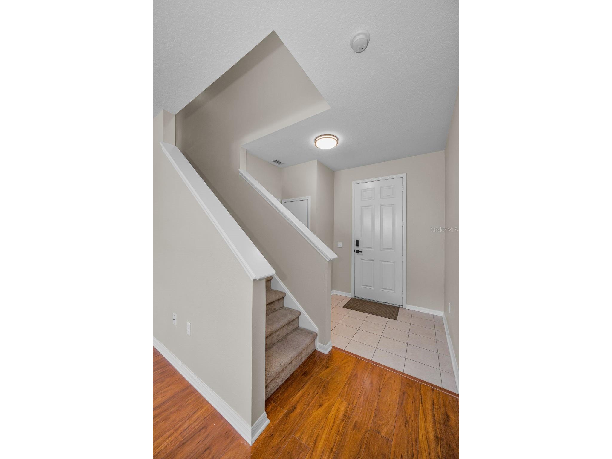 17539 Balmaha Drive Land O Lakes FL 34638 TB8496233 image11