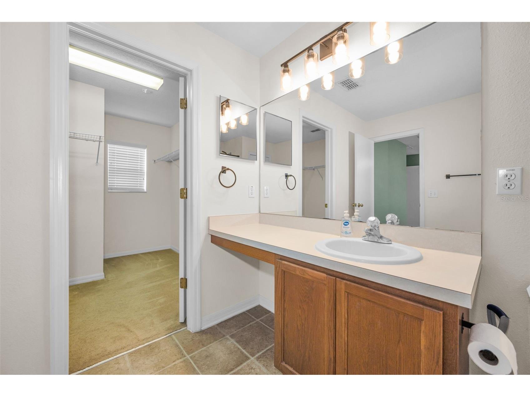 17539 Balmaha Drive Land O Lakes FL 34638 TB8496233 image19