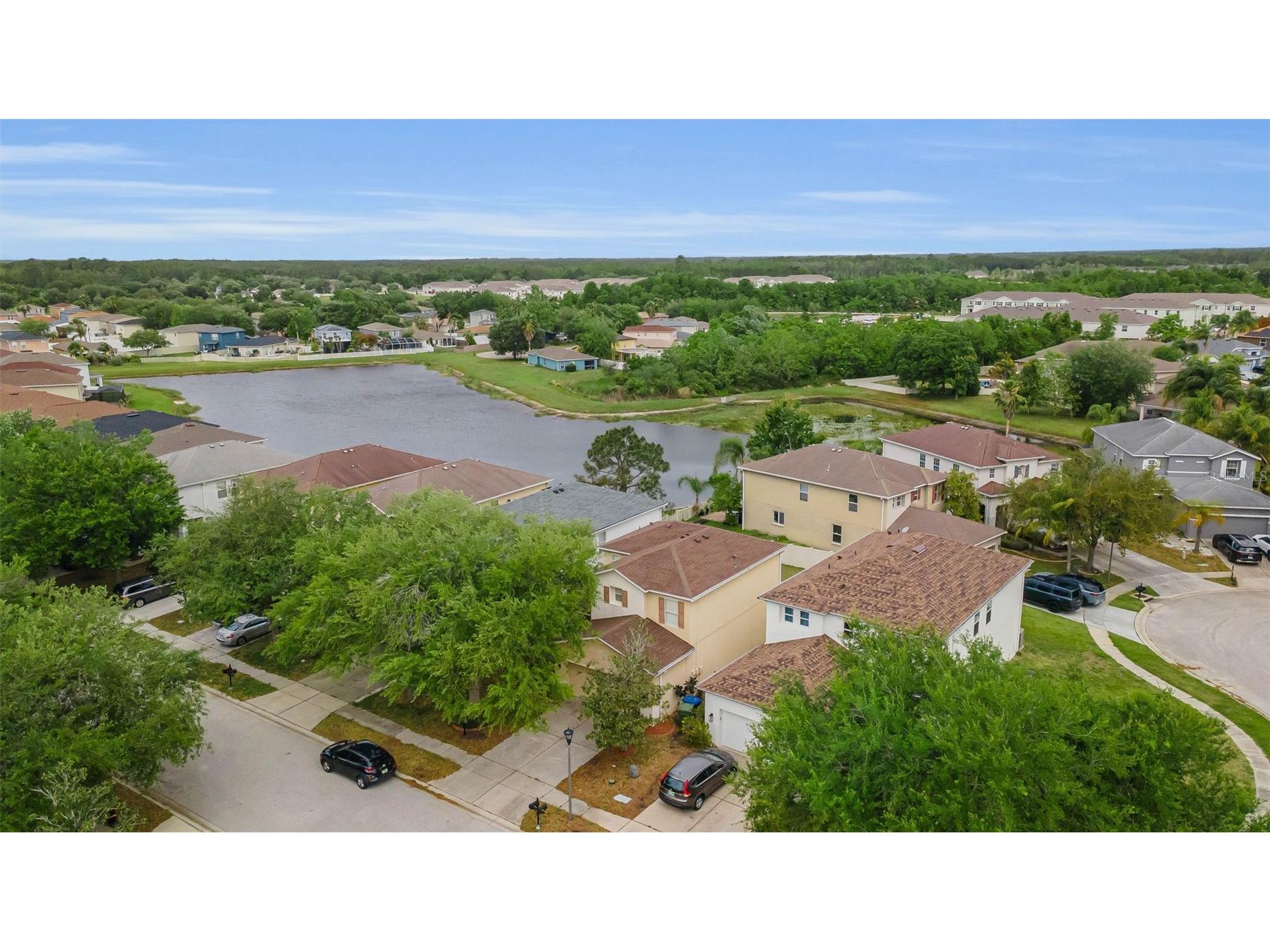 17539 Balmaha Drive Land O Lakes FL 34638 TB8496233 image2