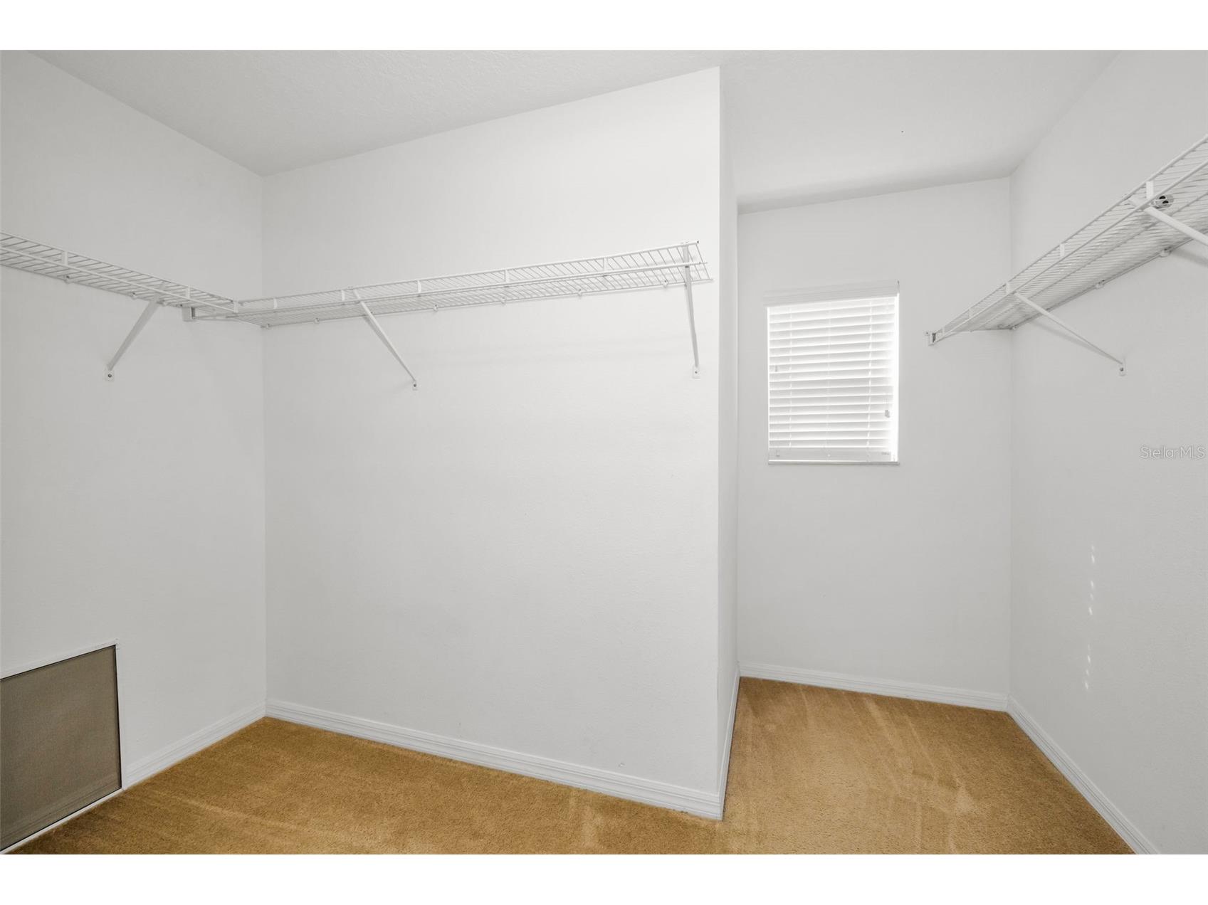 17539 Balmaha Drive Land O Lakes FL 34638 TB8496233 image20