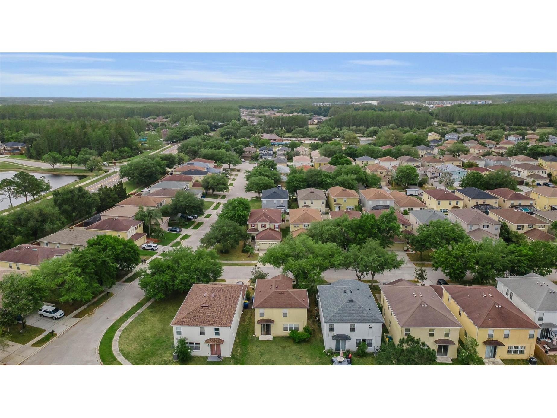 17539 Balmaha Drive Land O Lakes FL 34638 TB8496233 image30