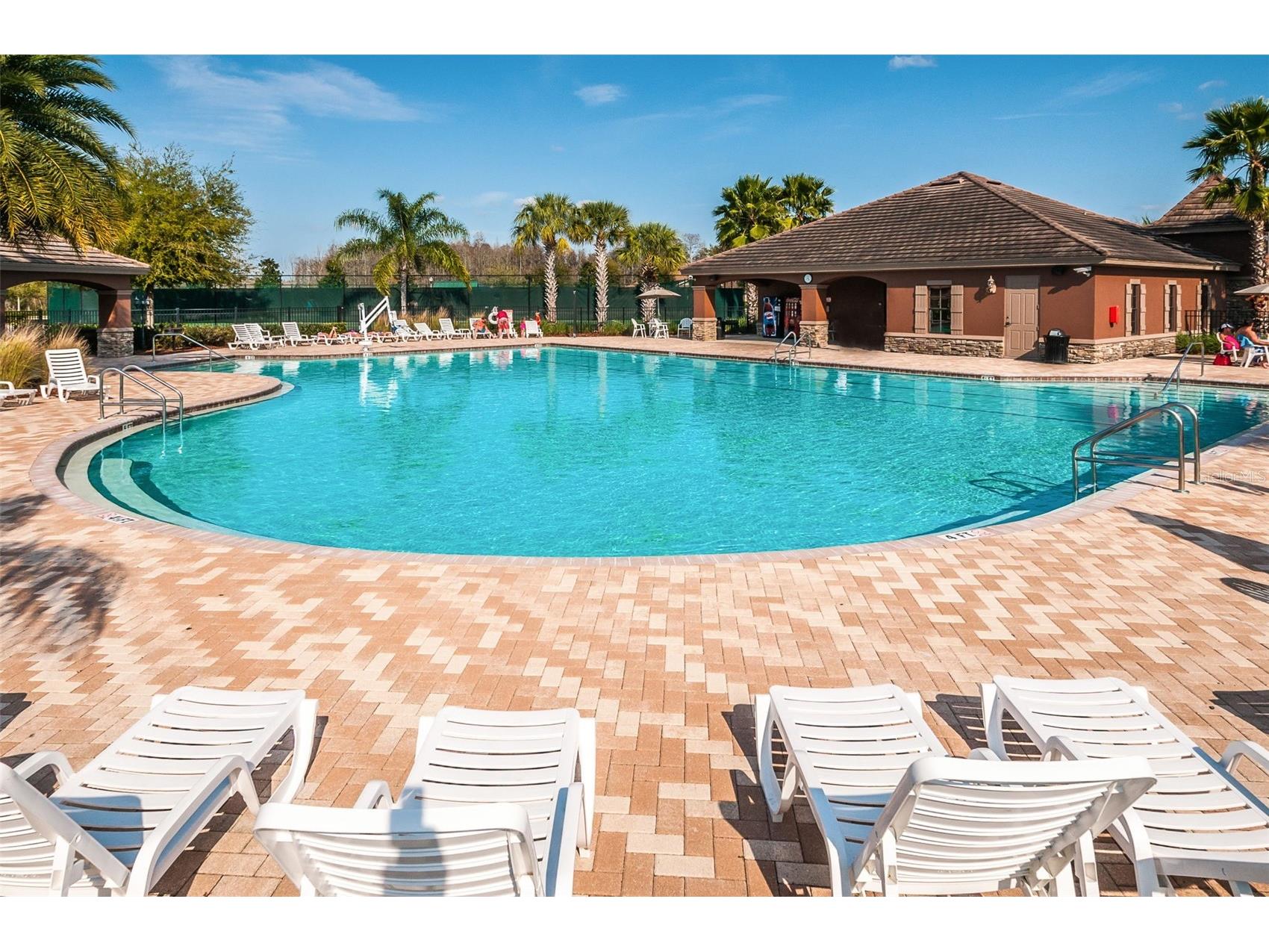 17539 Balmaha Drive Land O Lakes FL 34638 TB8496233 image34
