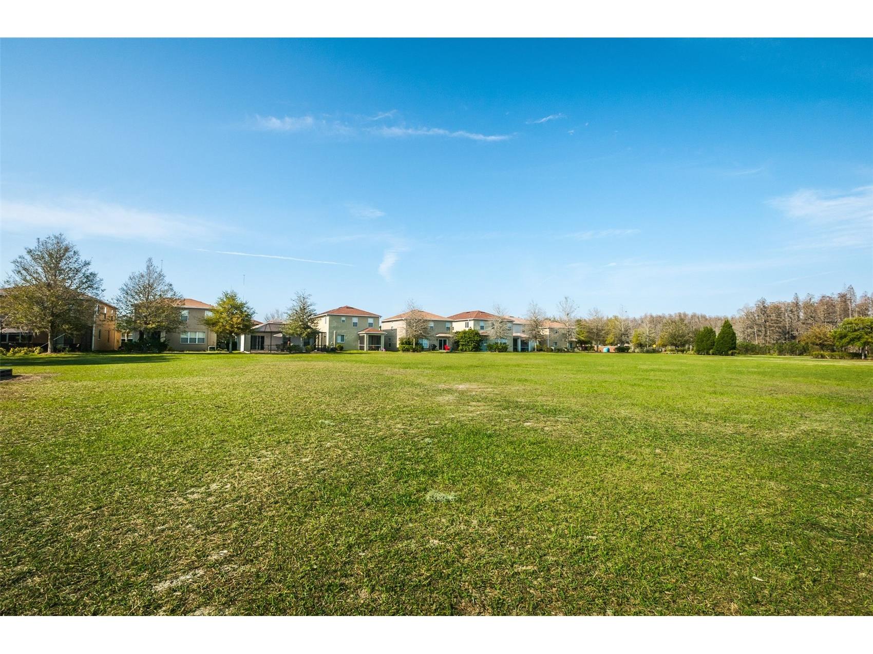 17539 Balmaha Drive Land O Lakes FL 34638 TB8496233 image39