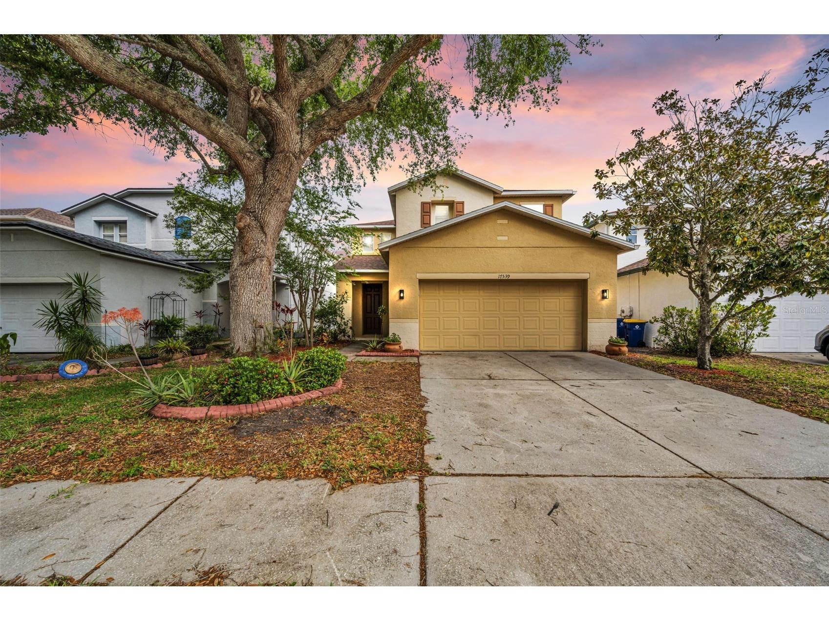 17539 Balmaha Drive Land O Lakes FL 34638 TB8496233 image43