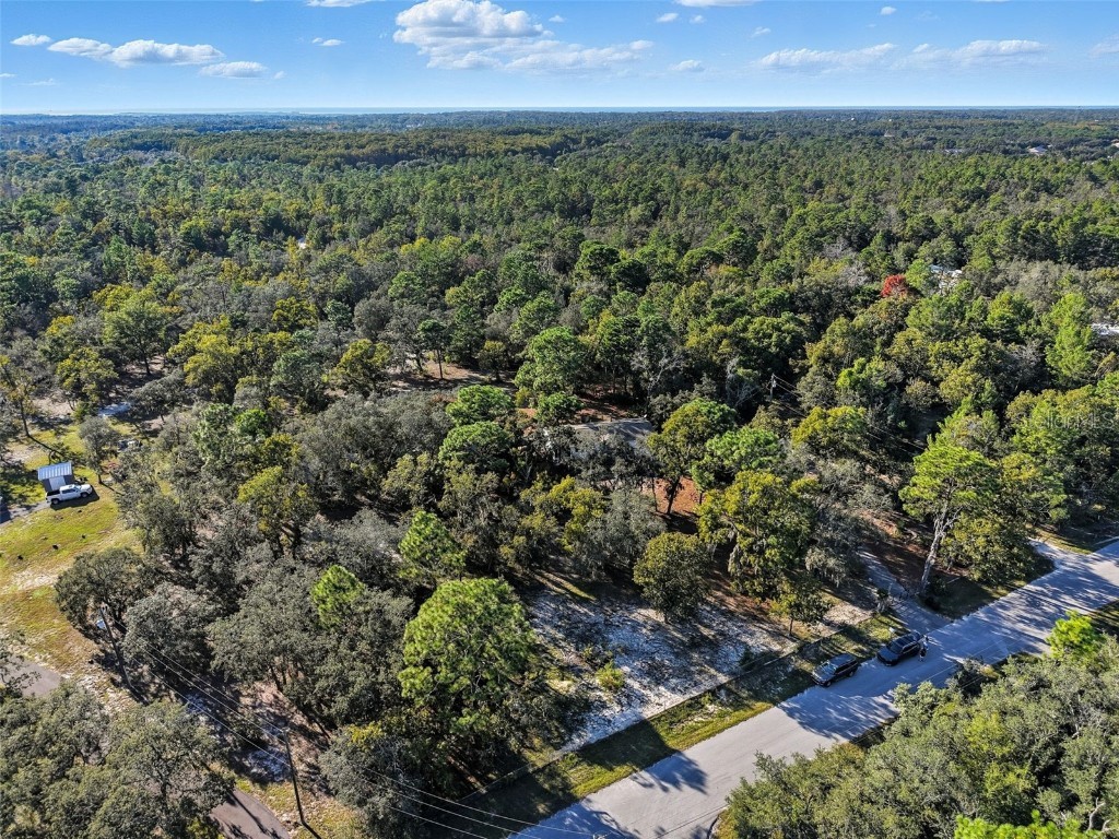 17539 Edwin Terrace Hudson FL 34667 TB8437650 image10