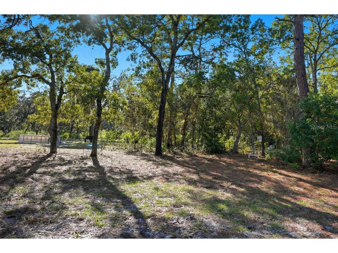 17539 Edwin Terrace Hudson FL 34667 TB8437650 image32