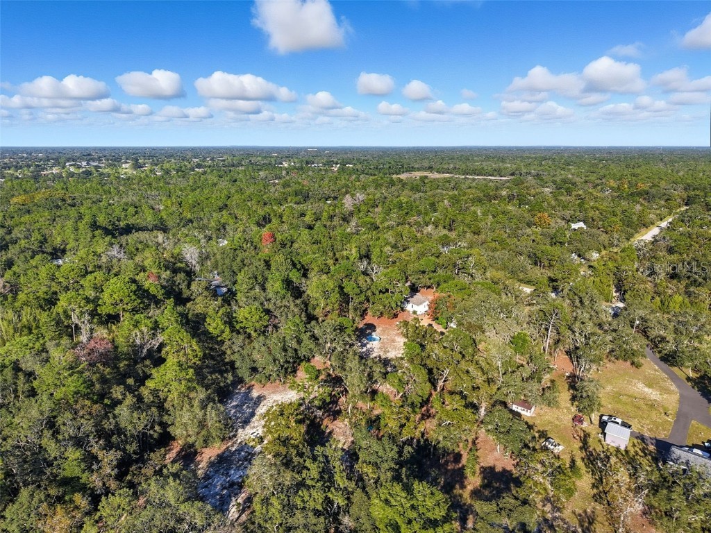 17539 Edwin Terrace Hudson FL 34667 TB8437650 image4