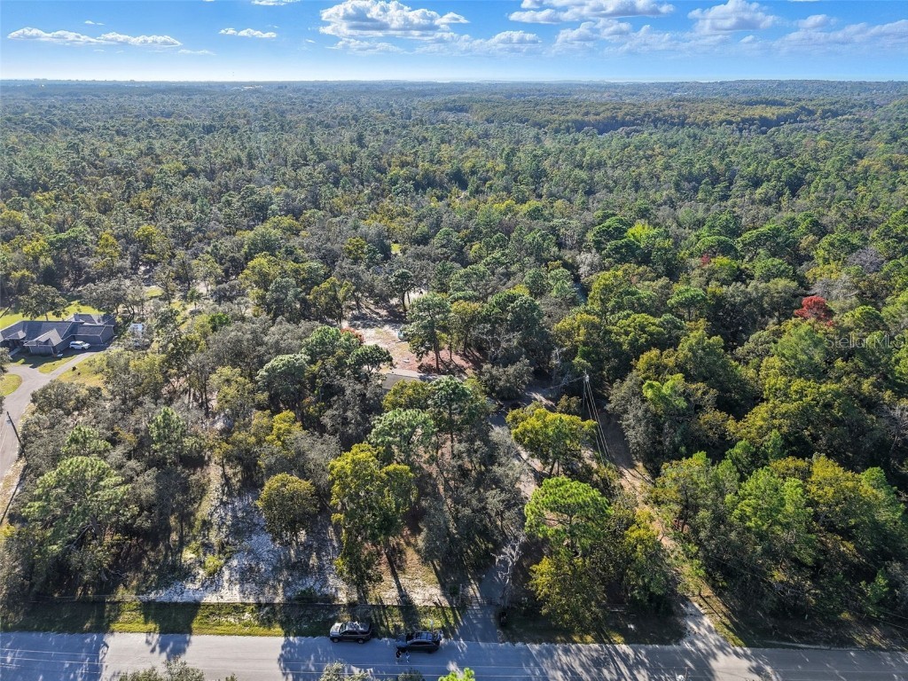 17539 Edwin Terrace Hudson FL 34667 TB8437650 image5