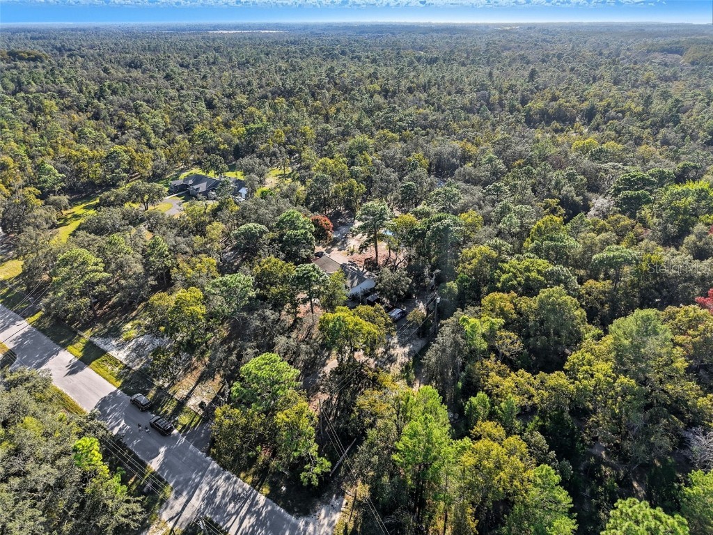 17539 Edwin Terrace Hudson FL 34667 TB8437650 image6