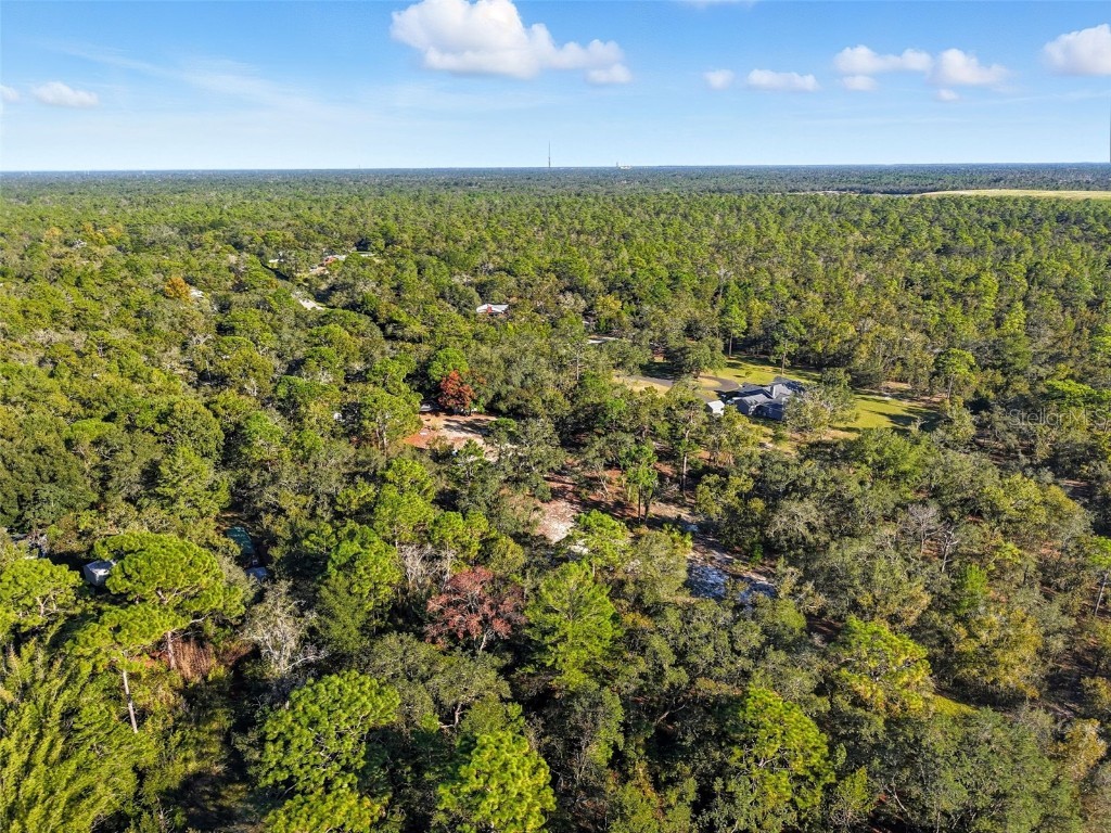 17539 Edwin Terrace Hudson FL 34667 TB8437650 image8