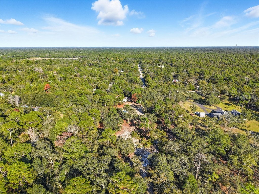 17539 Edwin Terrace Hudson FL 34667 TB8437650 image9