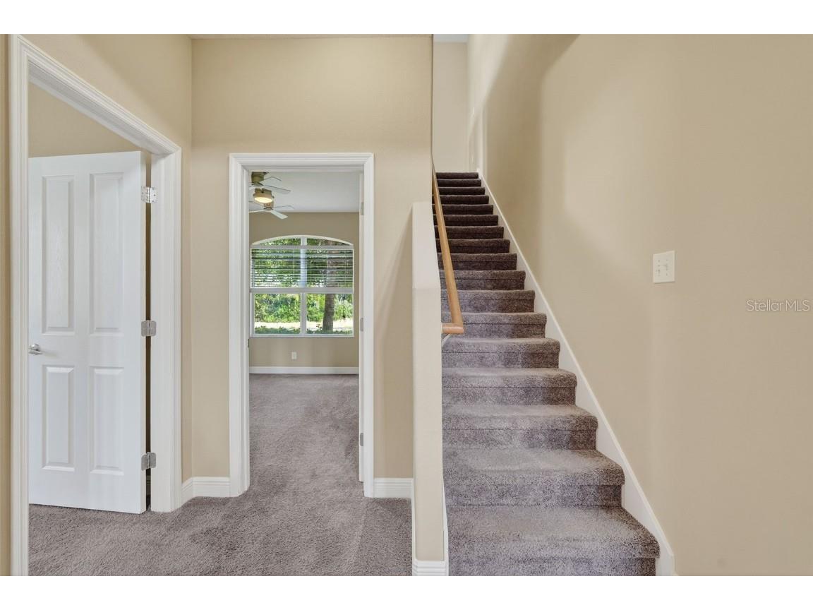 1754 Fircrest Court Wesley Chapel FL 33543 TB8432657 image39