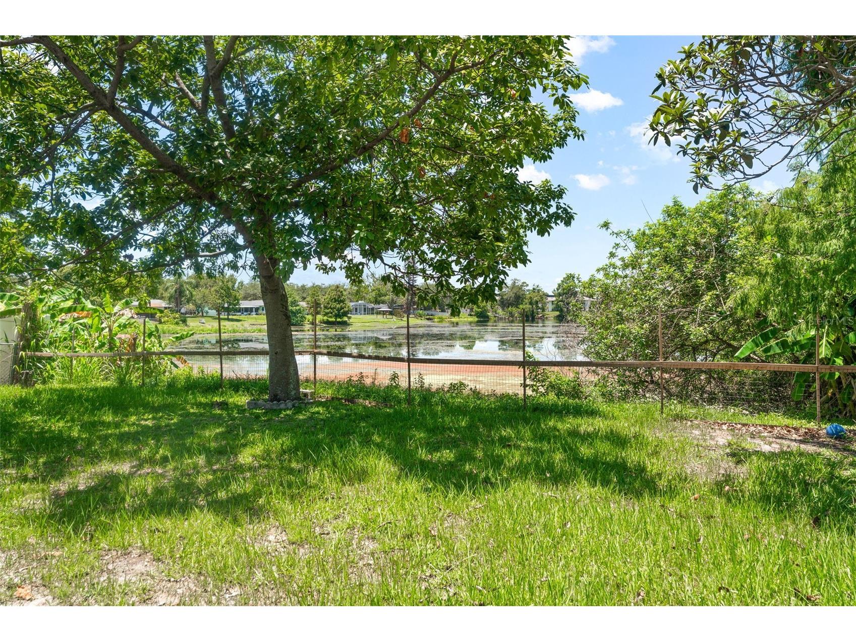 1754 Foxboro Drive Orlando FL 32812 - LAKE FRONTAGE: LAKE GILES O6419633 image33