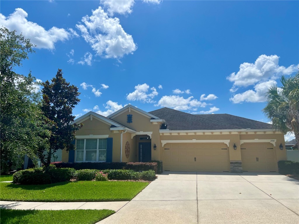 17541 Buckingham Garden Drive Lithia FL 33547 T3523878 image1