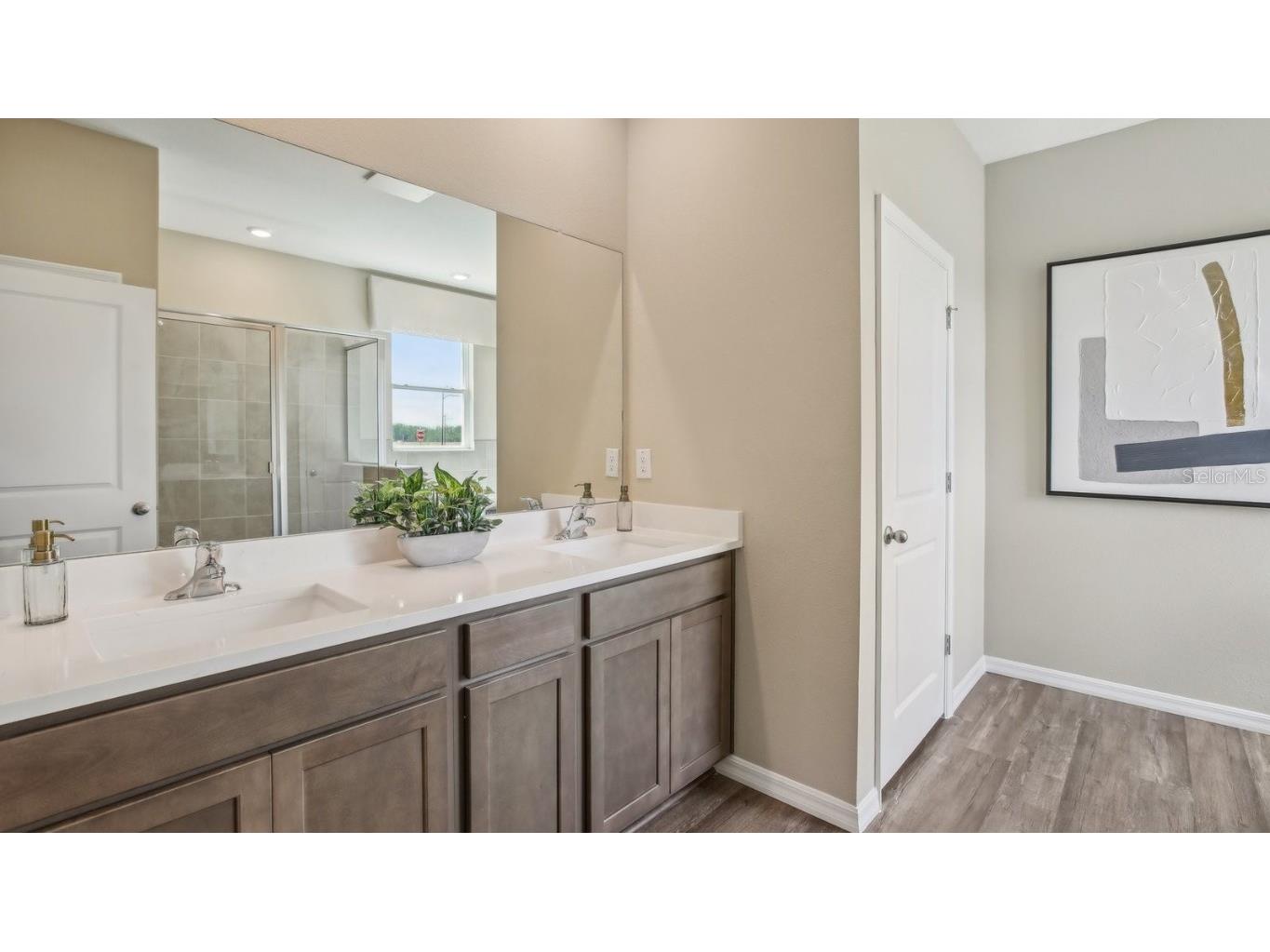 17542 Maple Grove Road Land O Lakes FL 34638 TB8462309 image29