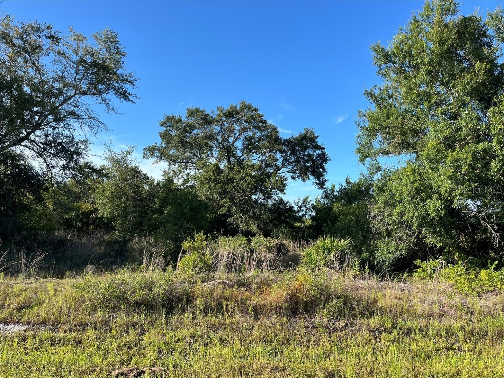 17542 NW 264th Street Okeechobee FL 34972 OK224343 image1