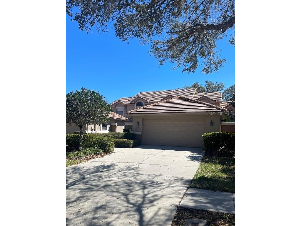 17543 Fairmeadow Drive Tampa FL 33647 T3518942 image1