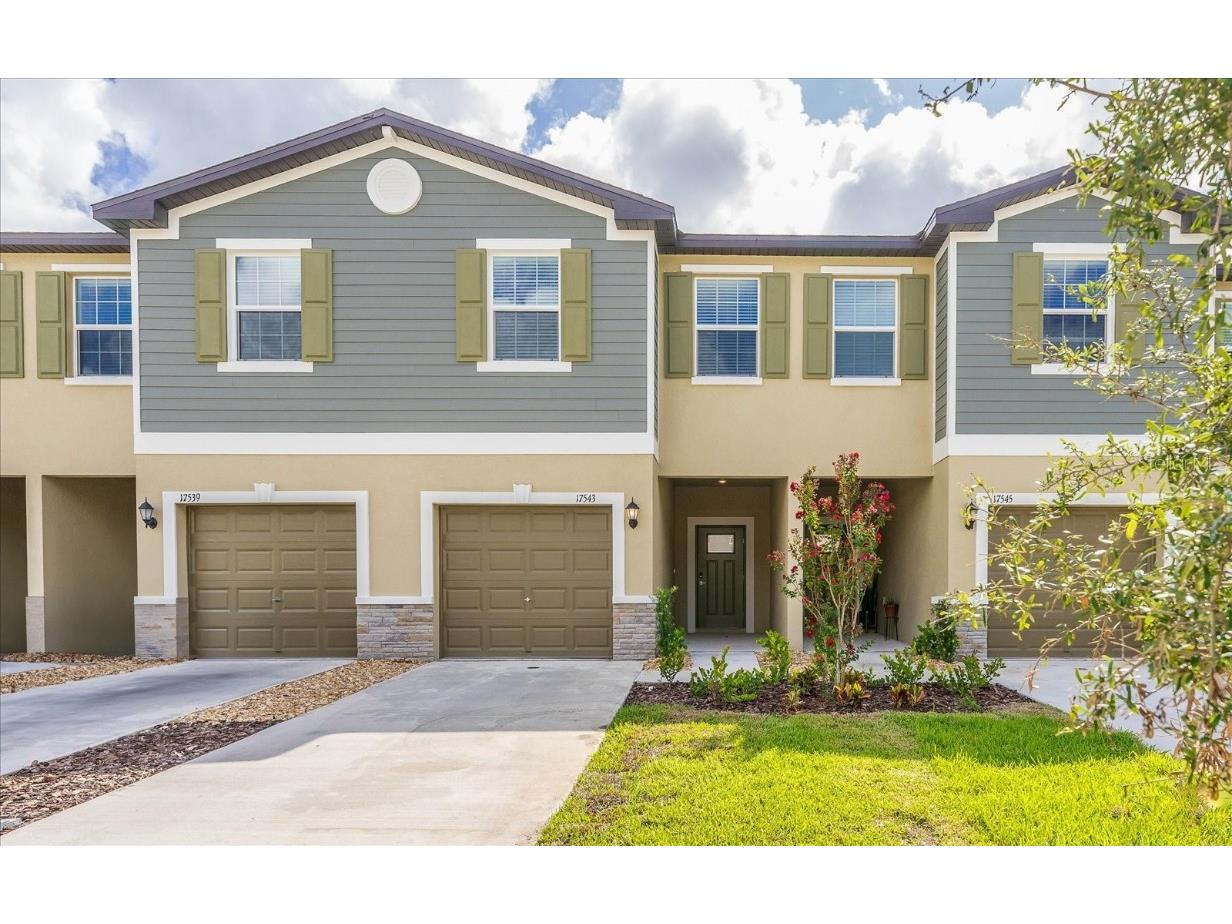 17543 Nectar Flume Drive Land O Lakes FL 34638 T3462735 image1