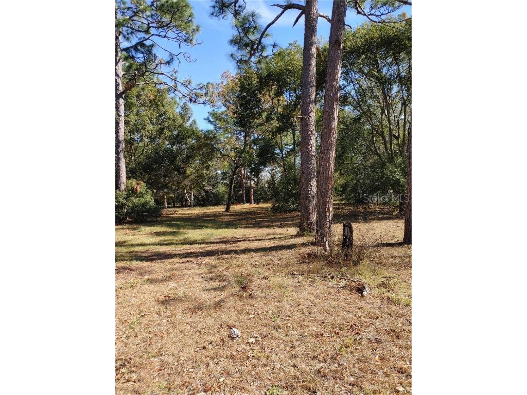 17544 Galveston Street Spring Hill FL 34610 W7871010 image41