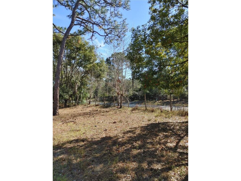 17544 Galveston Street Spring Hill FL 34610 W7871010 image42