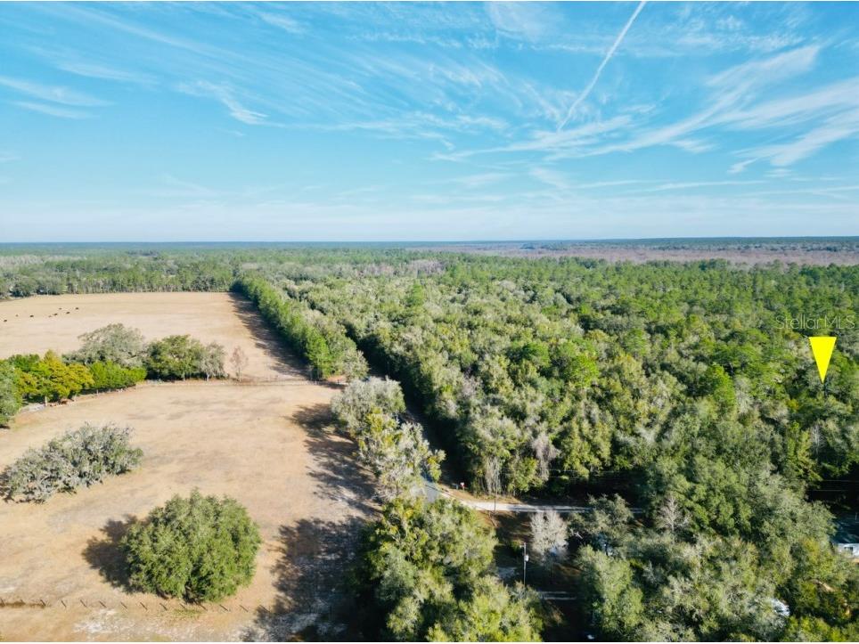 17544 NE 138th Terrace Fort Mc Coy FL 32134 O6087472 image1