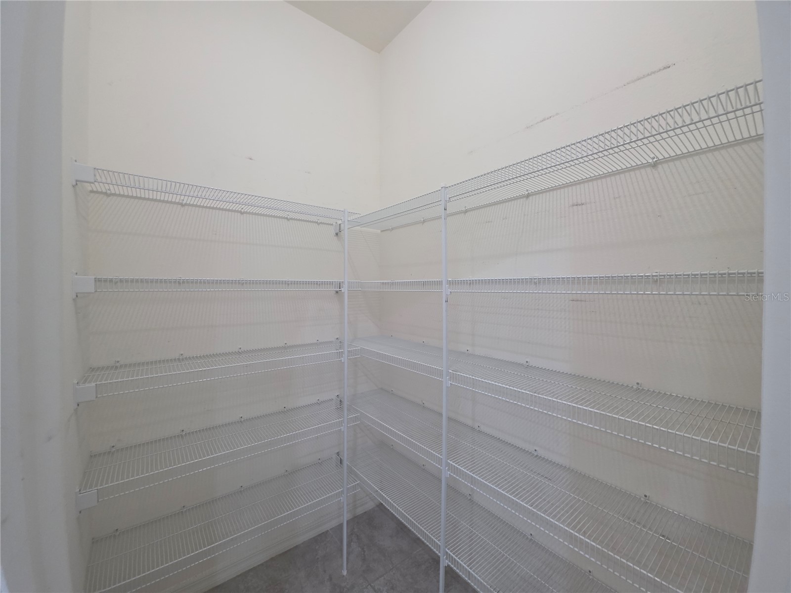17545 Buckingham Garden Drive Lithia FL 33547 TB8524796 image12