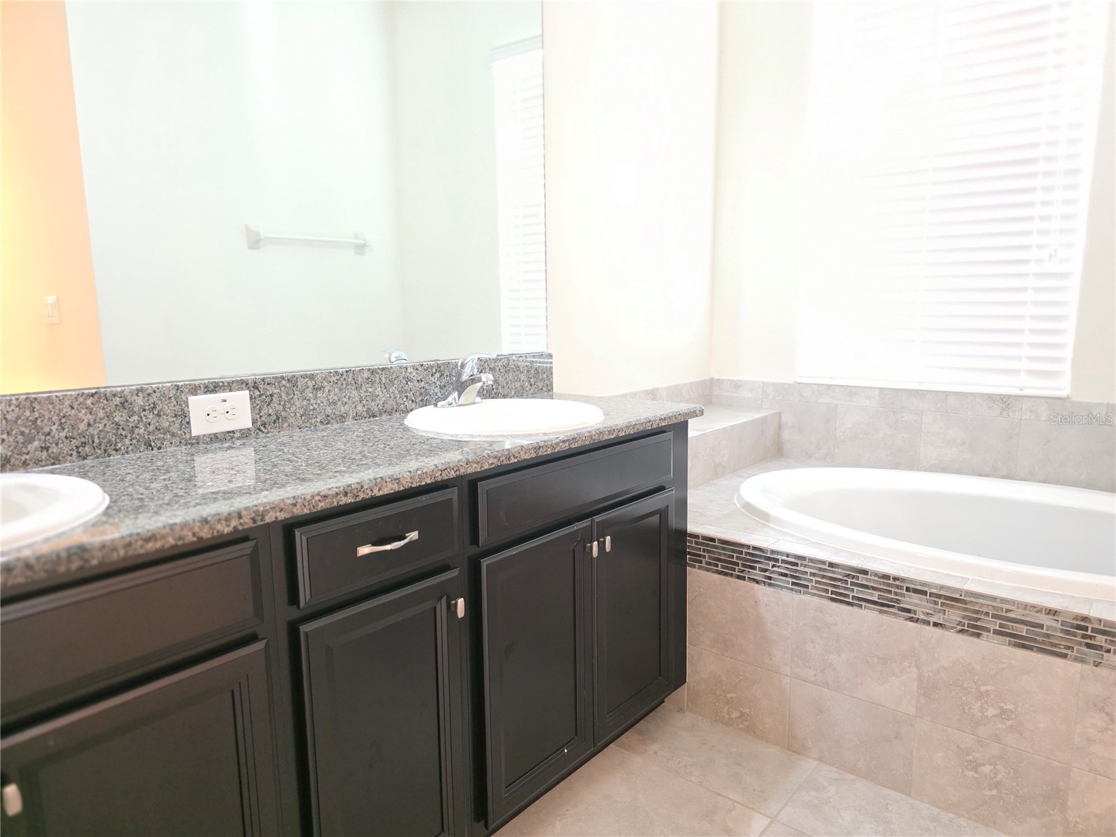17545 Buckingham Garden Drive Lithia FL 33547 TB8524796 image23