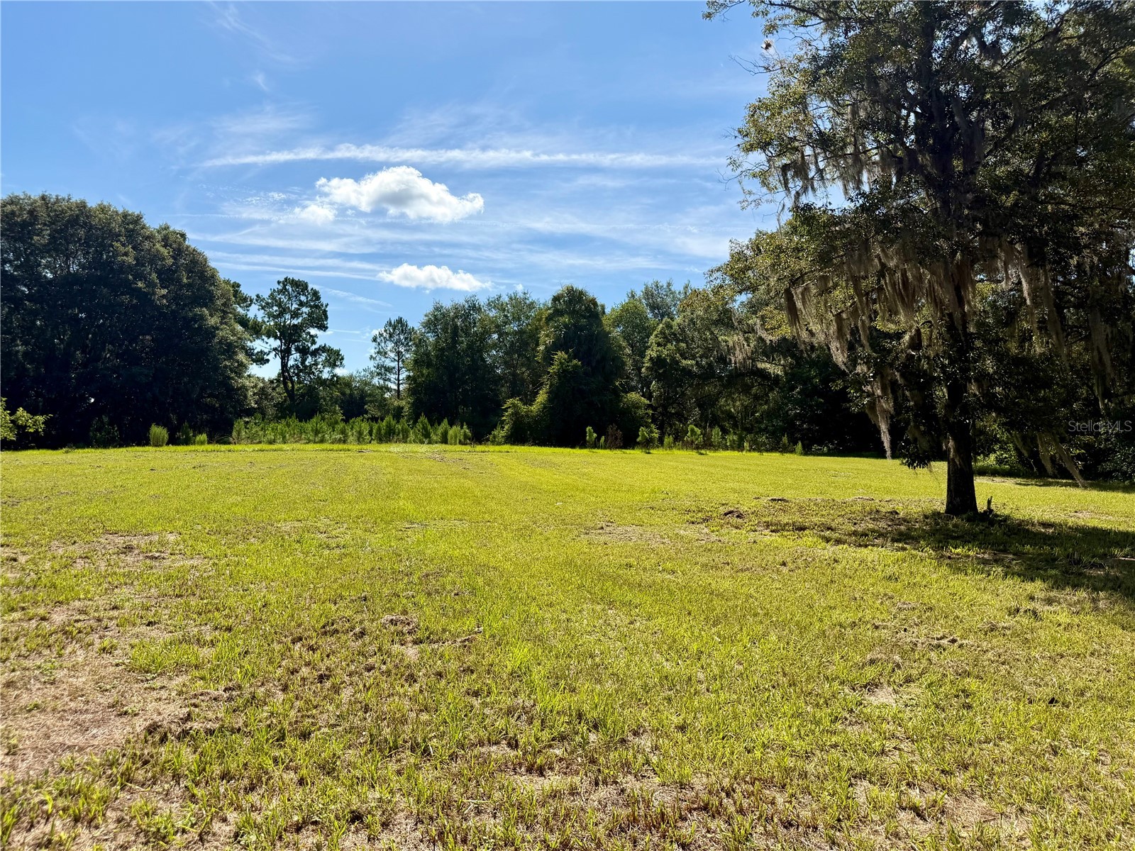 17545 NE 37th Court Citra FL 32113 R4911557 image20