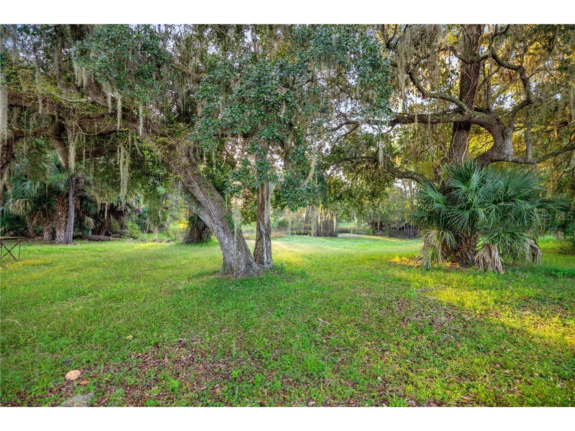 17545 NE 39th Court Citra FL 32113 OM709295 image4