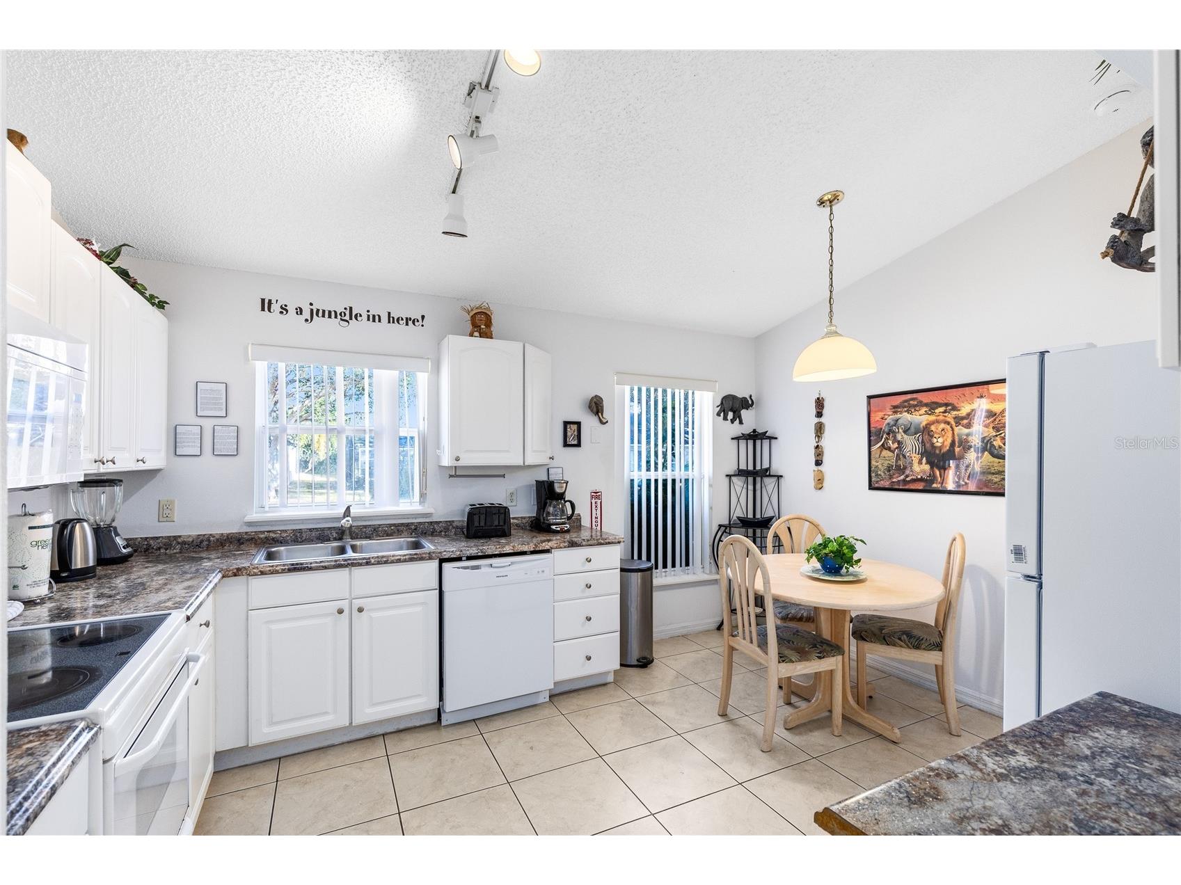 17546 Silver Creek Court Clermont FL 34714 O6386475 image3