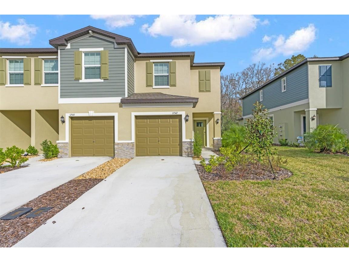 17547 Nectar Flume Drive Land O Lakes FL 34638 T3494454 image1