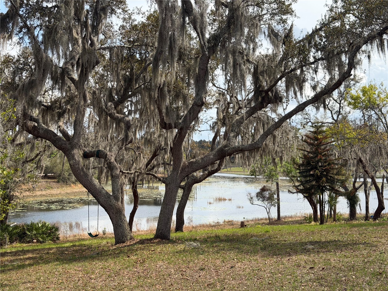 17549 Seidner Road Winter Garden FL 34787 - LAKE AVALON O6392430 image1