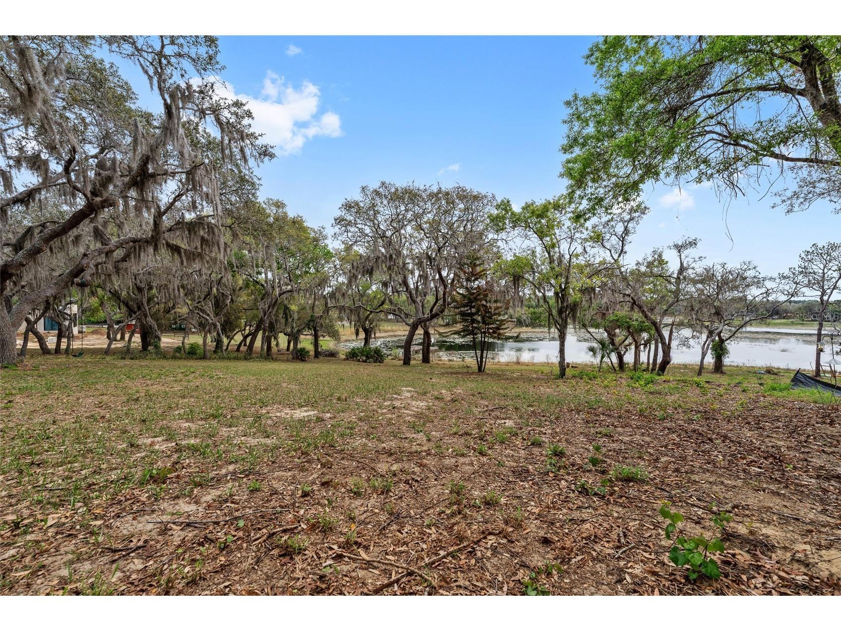 17549 Seidner Road Winter Garden FL 34787 - LAKE AVALON O6392430 image10