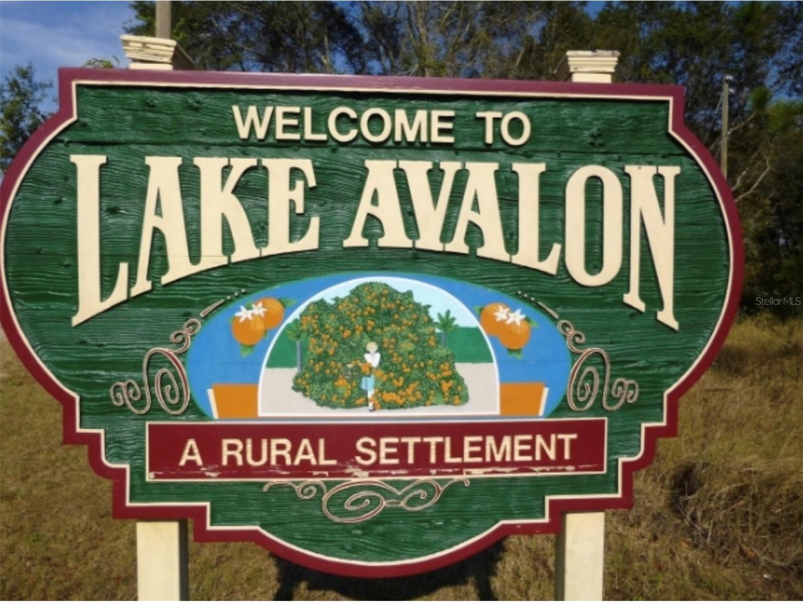 17549 Seidner Road Winter Garden FL 34787 - LAKE AVALON O6392430 image26