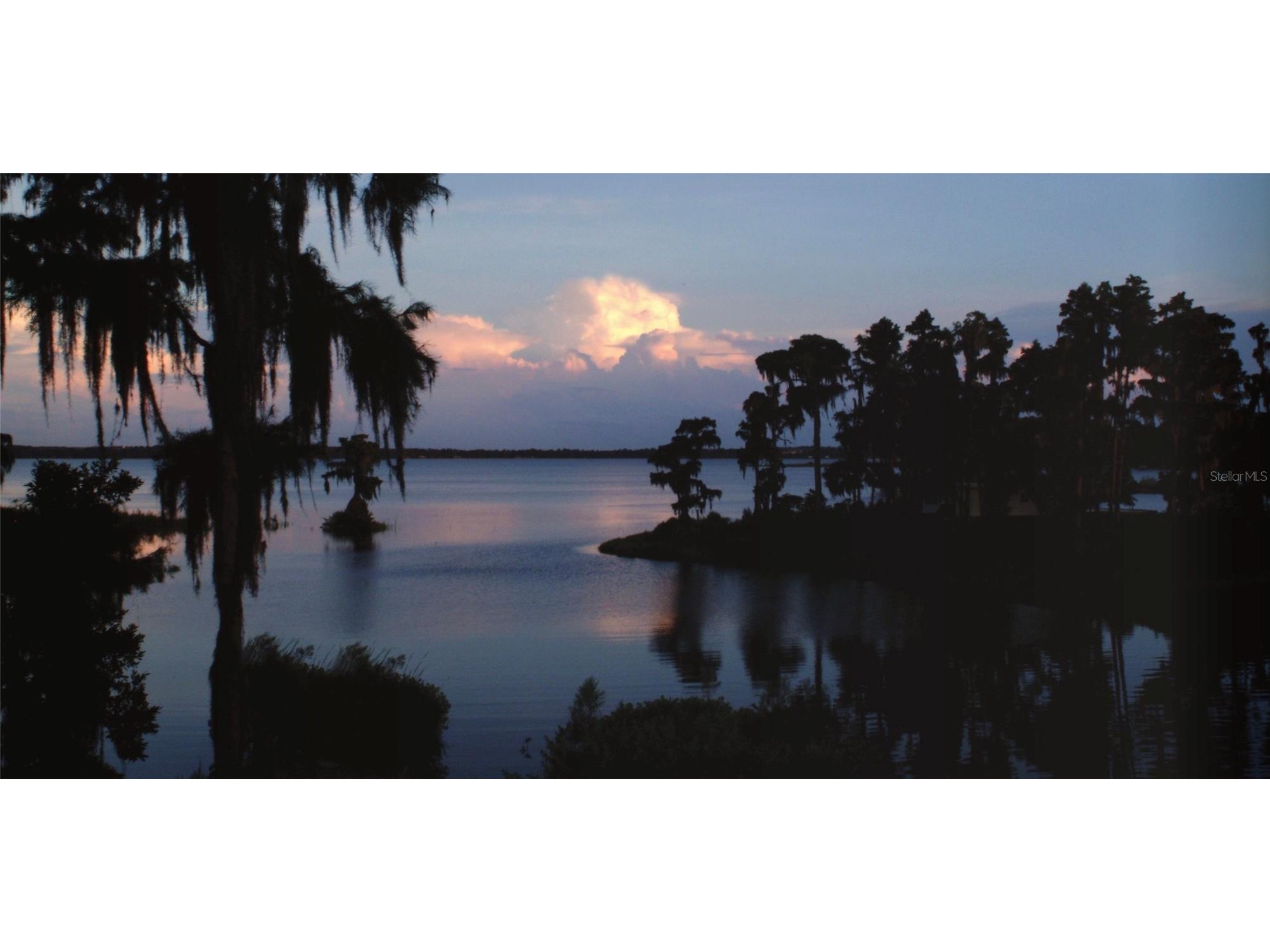 17549 Seidner Road Winter Garden FL 34787 - LAKE AVALON O6392430 image28