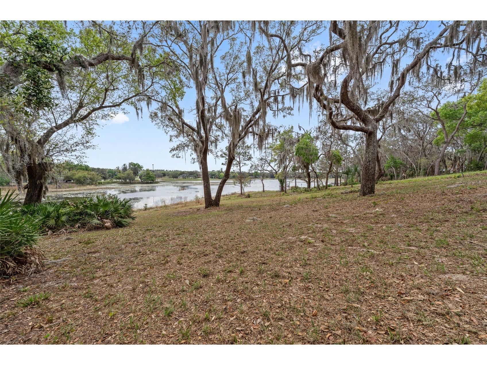 17549 Seidner Road Winter Garden FL 34787 - LAKE AVALON O6392430 image9