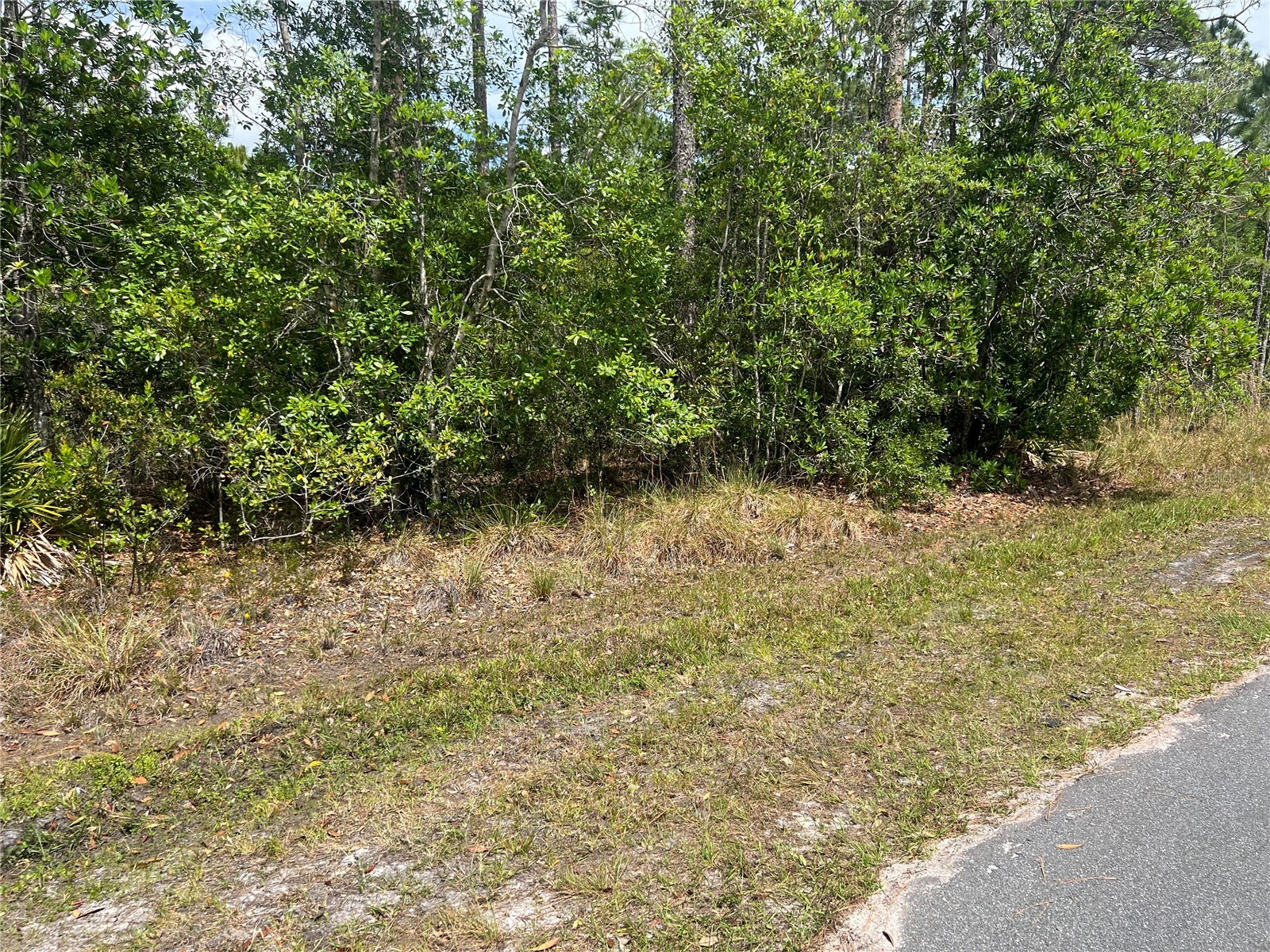 1755 Cassidy Drive Saint Cloud FL 34771 O6423123 image1